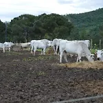 Alojamento de Turismo Rural L' Antico Casale *