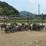 Alojamento de Turismo Rural L' Antico Casale Le Marmore