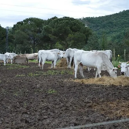 Vakantieboerderij L' Antico Casale *