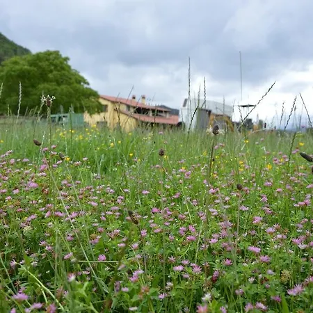 Vakantieboerderij L' Antico Casale