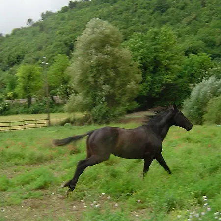 Κατάλυμα σε φάρμα L' Antico Casale *