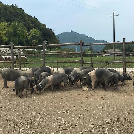 Κατάλυμα σε φάρμα L' Antico Casale Le Marmore