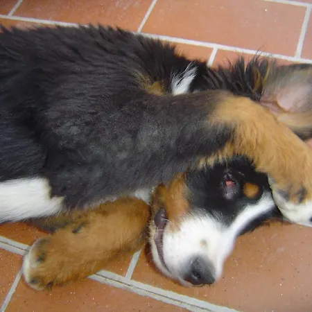 L' Antico Casale Κατάλυμα σε φάρμα *