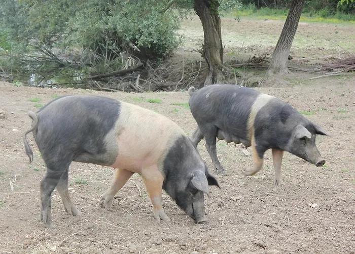 Alojamento de Turismo Rural L' Antico Casale *