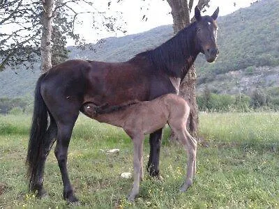 L' Antico Casale * Le Marmore