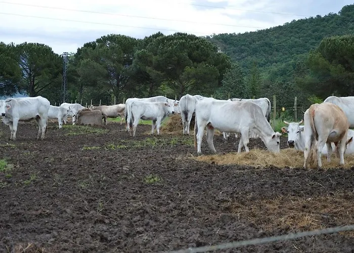 Alloggio per agriturismo L' Antico Casale *