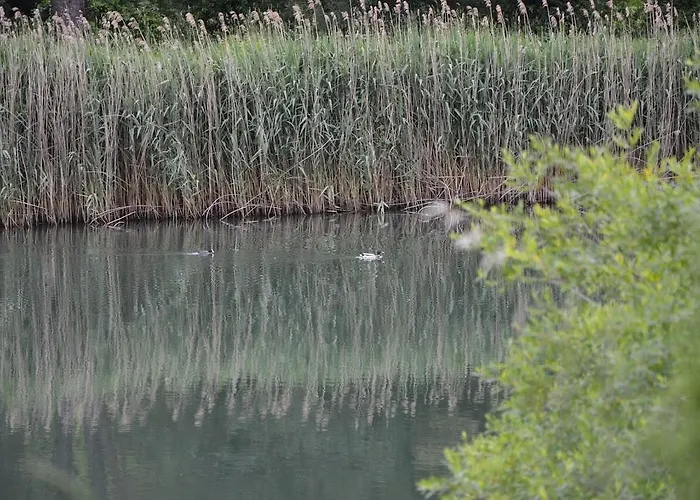 Alojamento de Turismo Rural L' Antico Casale