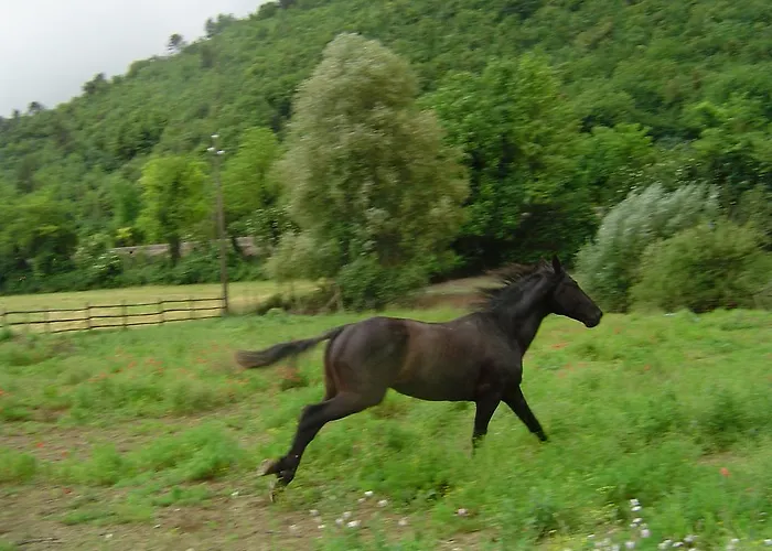 Alojamento de Turismo Rural L' Antico Casale *