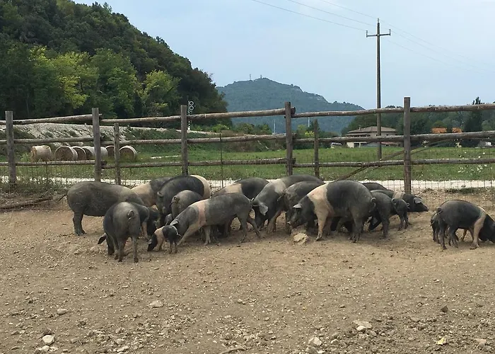 Alloggio per agriturismo L' Antico Casale Le Marmore