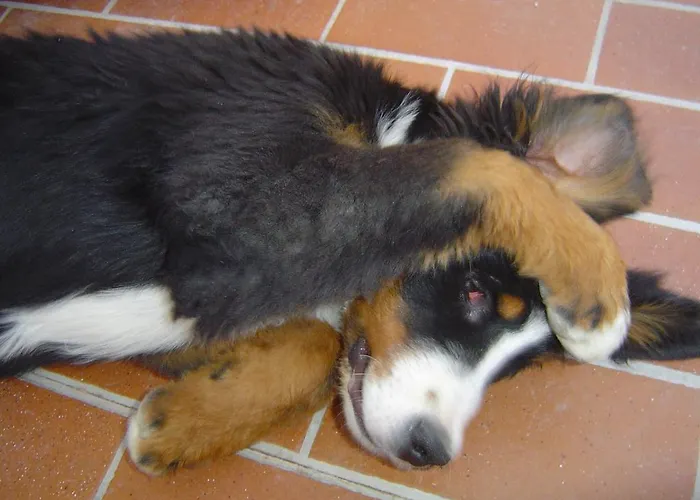 L' Antico Casale Alloggio per agriturismo *