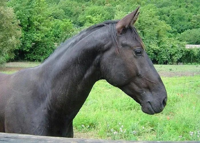 Alloggio per agriturismo L' Antico Casale Le Marmore